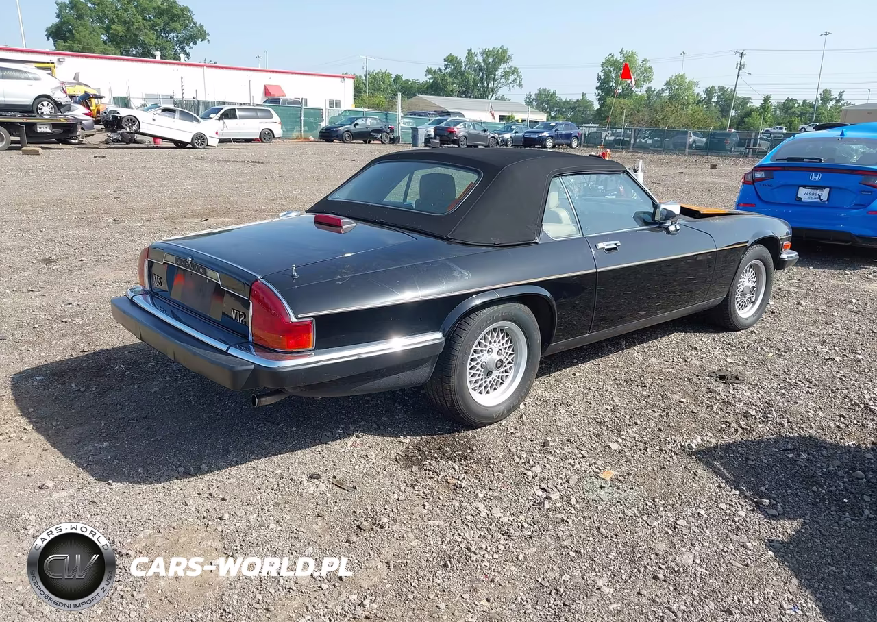 1989 Jaguar Xjs VIN:SAJNV4844KC163601 - 4