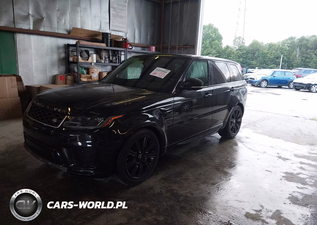 2019 Land Rover Range Rover Sport Hse Mhev VIN:SALWR2RU9KA869607 - 2
