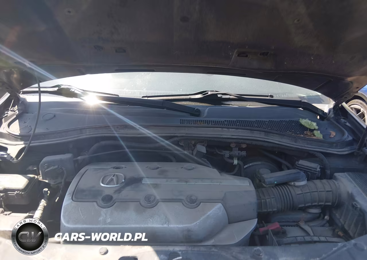 2006 Acura Mdx VIN:2HNYD18916H531142 - 10