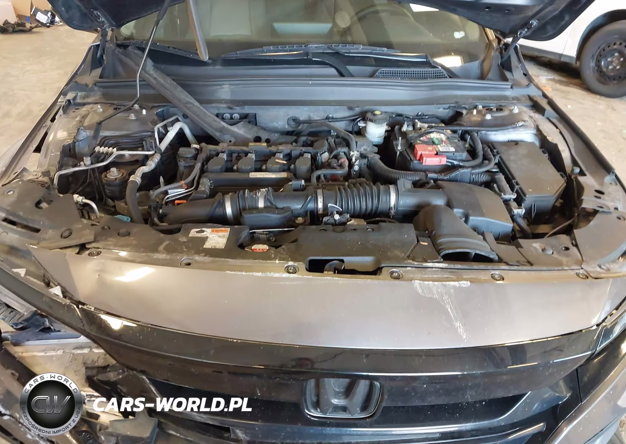 2019 Honda Accord Ex VIN:1HGCV1F48KA165985 - 10