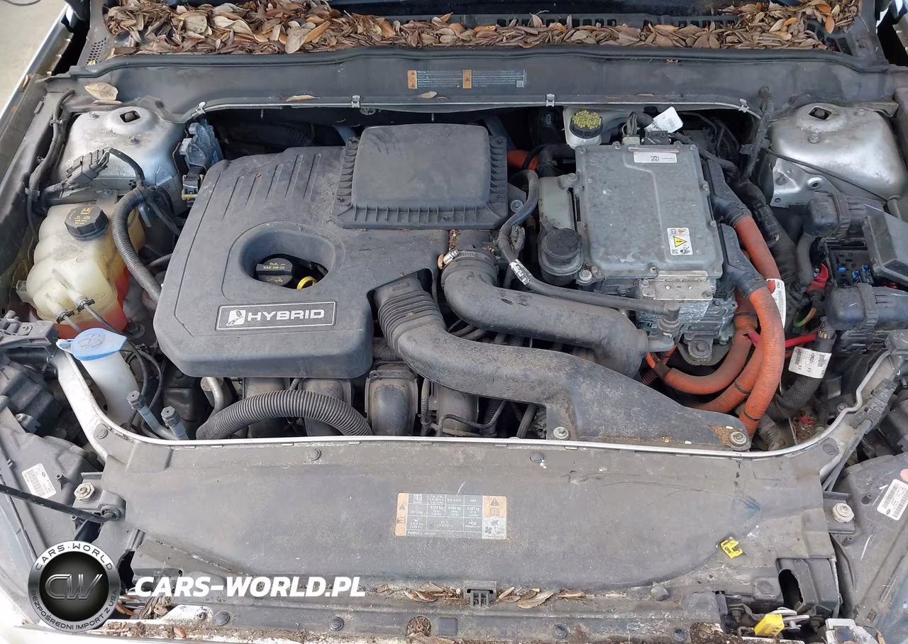 2013 Ford Fusion Hybrid Se VIN:3FA6P0LU3DR249716 - 10