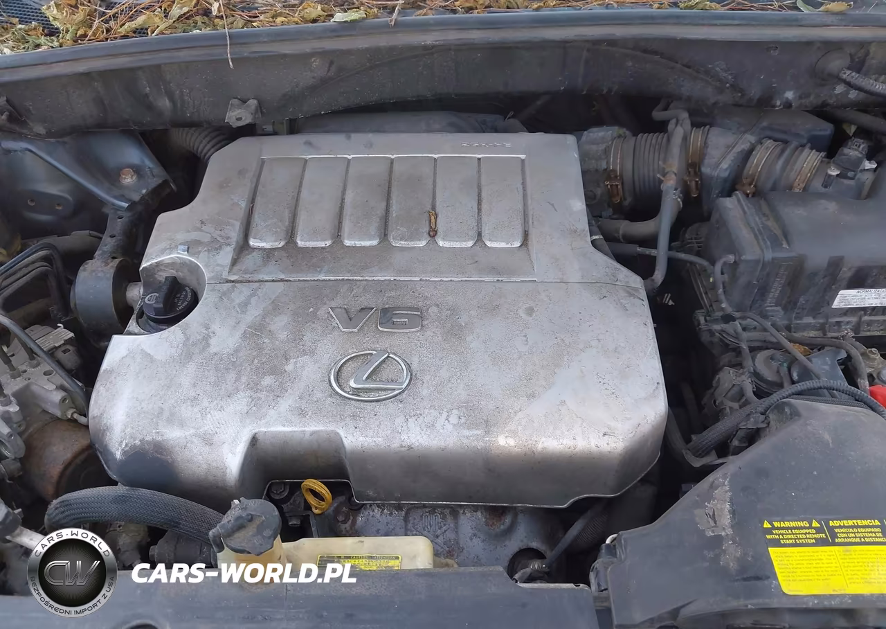2007 Lexus Rx 350 VIN:2T2HK31U77C034528 - 10