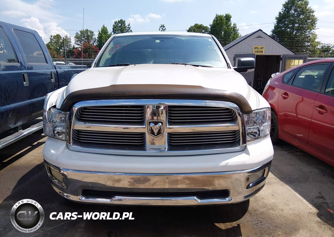 2010 Dodge Ram 1500 Slt-Sport-Trx VIN:1D7RV1GT5AS130415 - 12