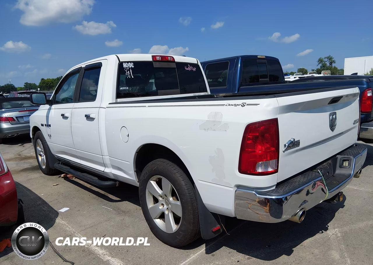 2010 Dodge Ram 1500 Slt-Sport-Trx VIN:1D7RV1GT5AS130415 - 3