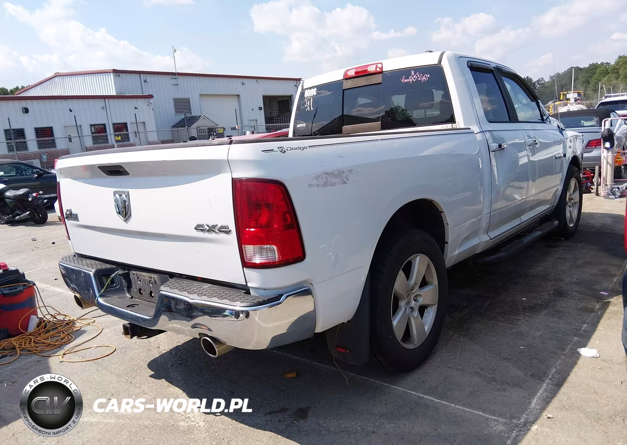 2010 Dodge Ram 1500 Slt-Sport-Trx VIN:1D7RV1GT5AS130415 - 4