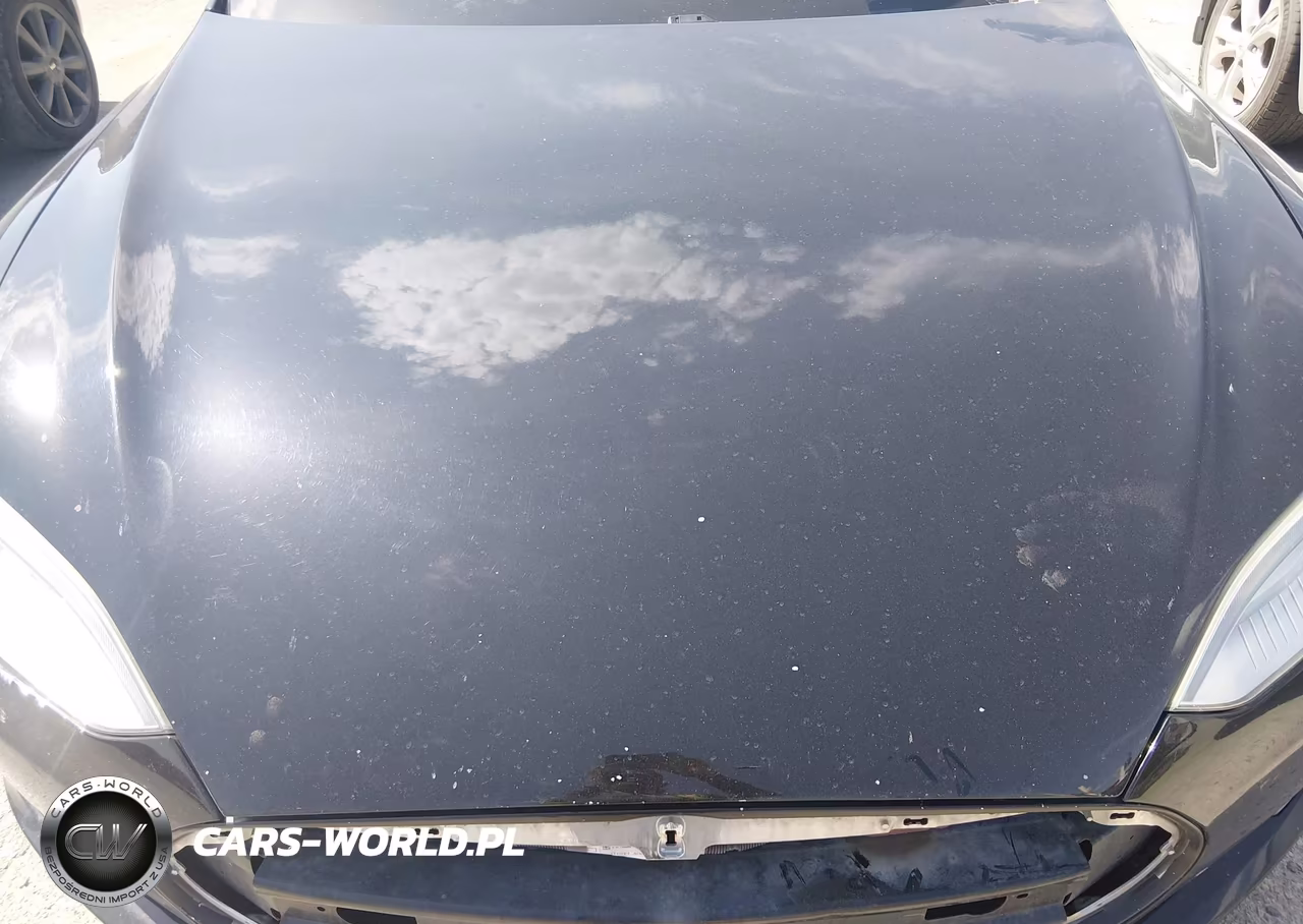 2013 Tesla Model S Performance VIN:5YJSA1DP8DFP07633 - 10