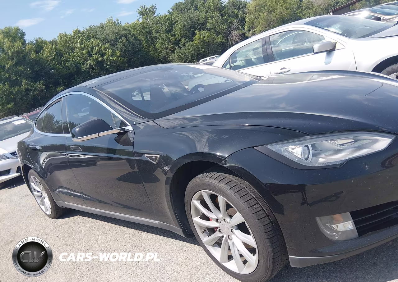 2013 Tesla Model S Performance VIN:5YJSA1DP8DFP07633 - 13