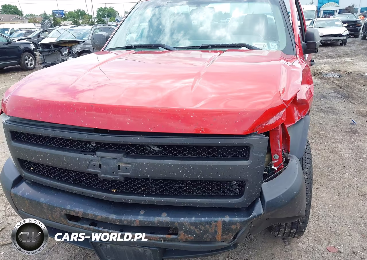 2011 Chevrolet Silverado 1500 Work Truck VIN:1GCNCPEX9BZ424125 - 13