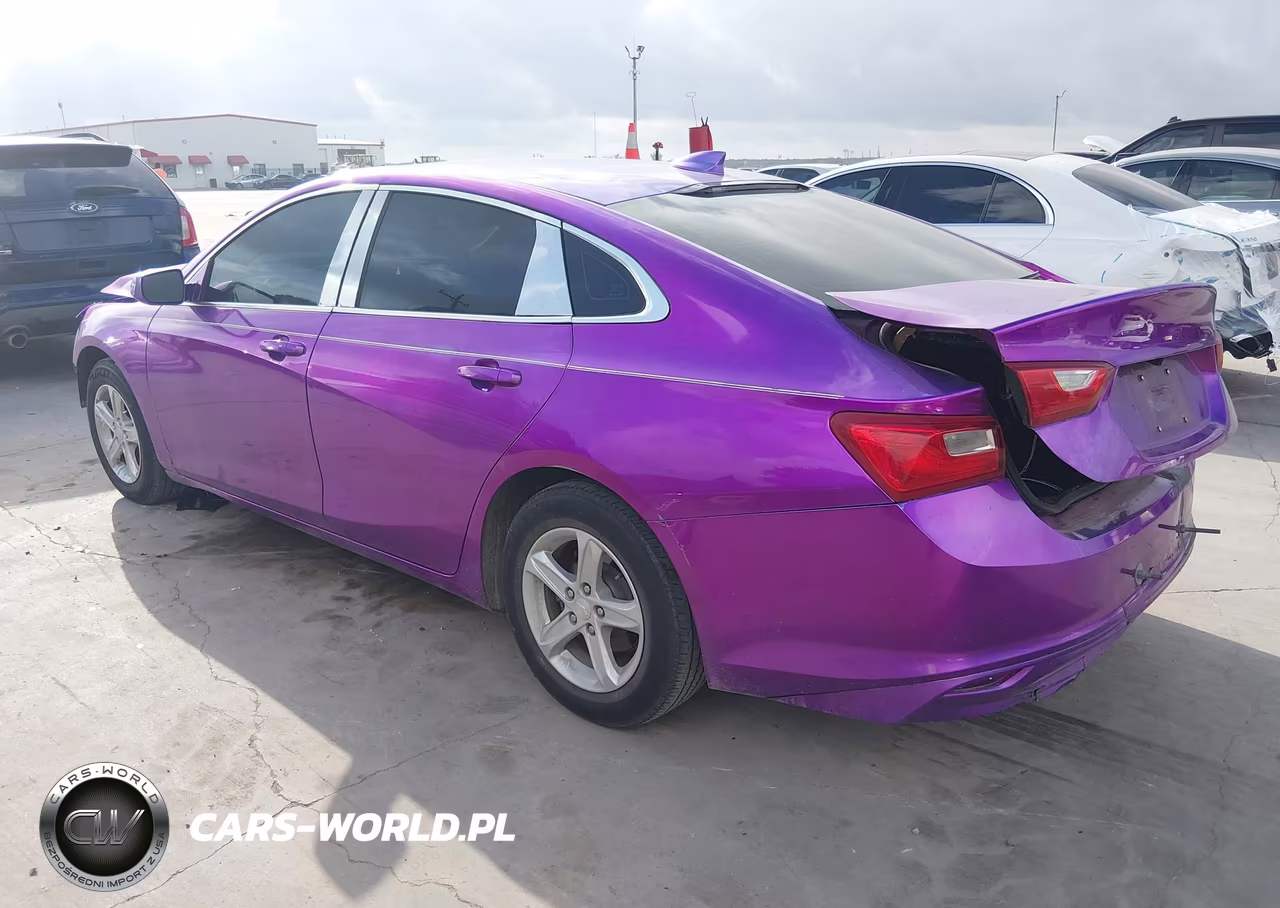 2019 Chevrolet Malibu 1Ls VIN:1G1ZB5STXKF206652 - 3