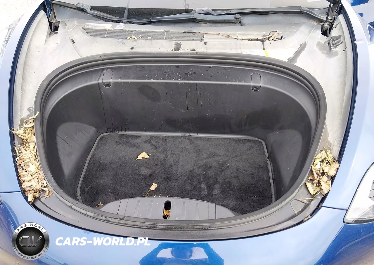 2018 Tesla Model 3 Long Range-Mid Range VIN:5YJ3E1EA1JF007242 - 10