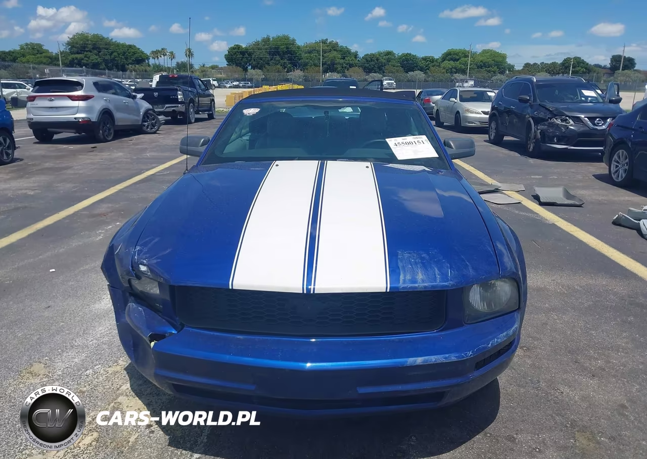 2005 Ford Mustang VIN:1ZVFT84N955199241 - 12