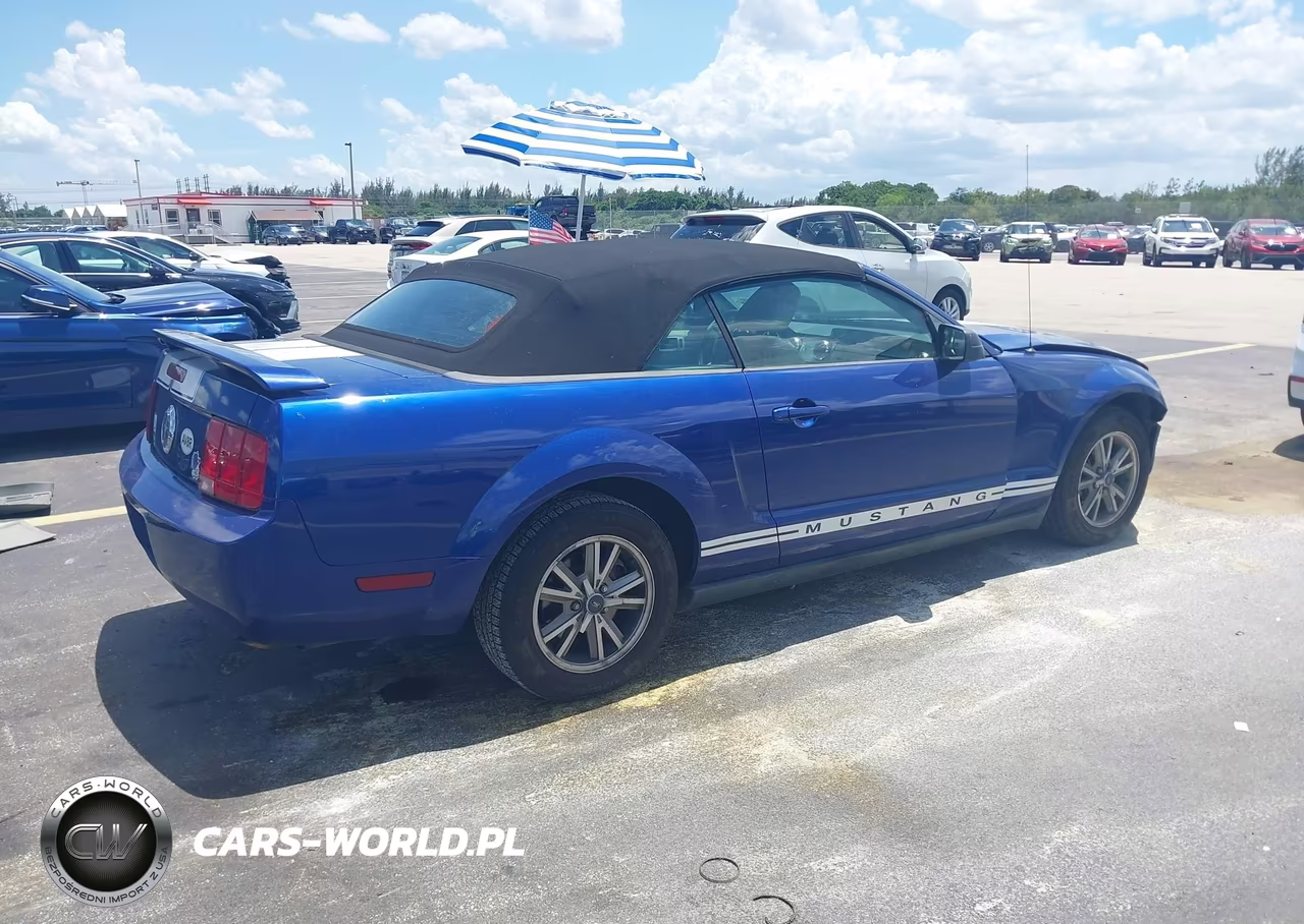 2005 Ford Mustang VIN:1ZVFT84N955199241 - 4