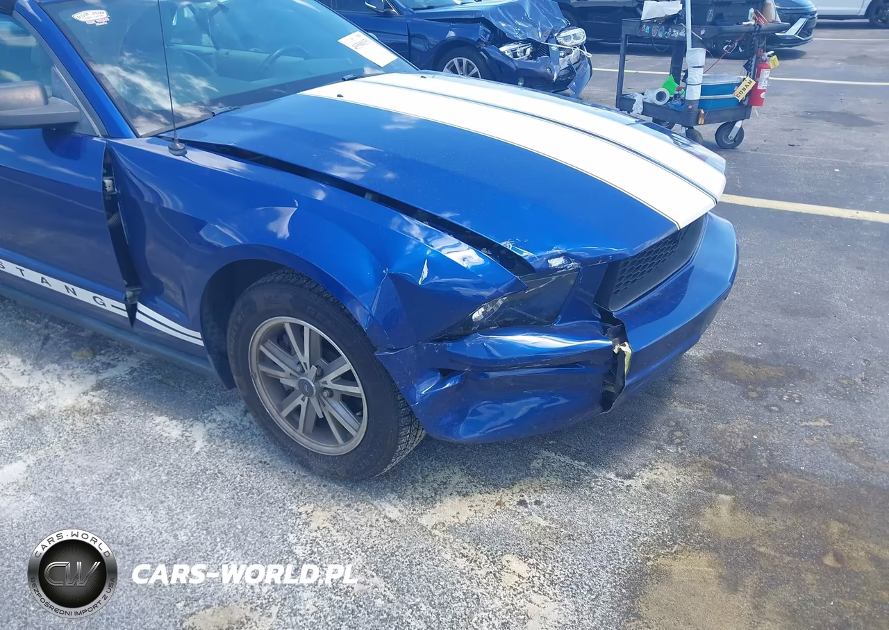 2005 Ford Mustang VIN:1ZVFT84N955199241 - 6