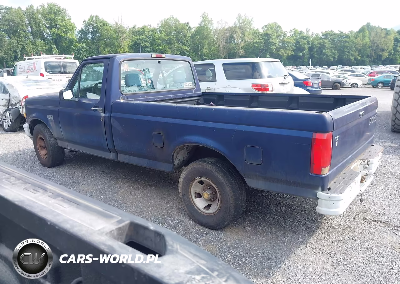 1994 Ford F150 VIN:1FTDF15YXRNA29719 - 3
