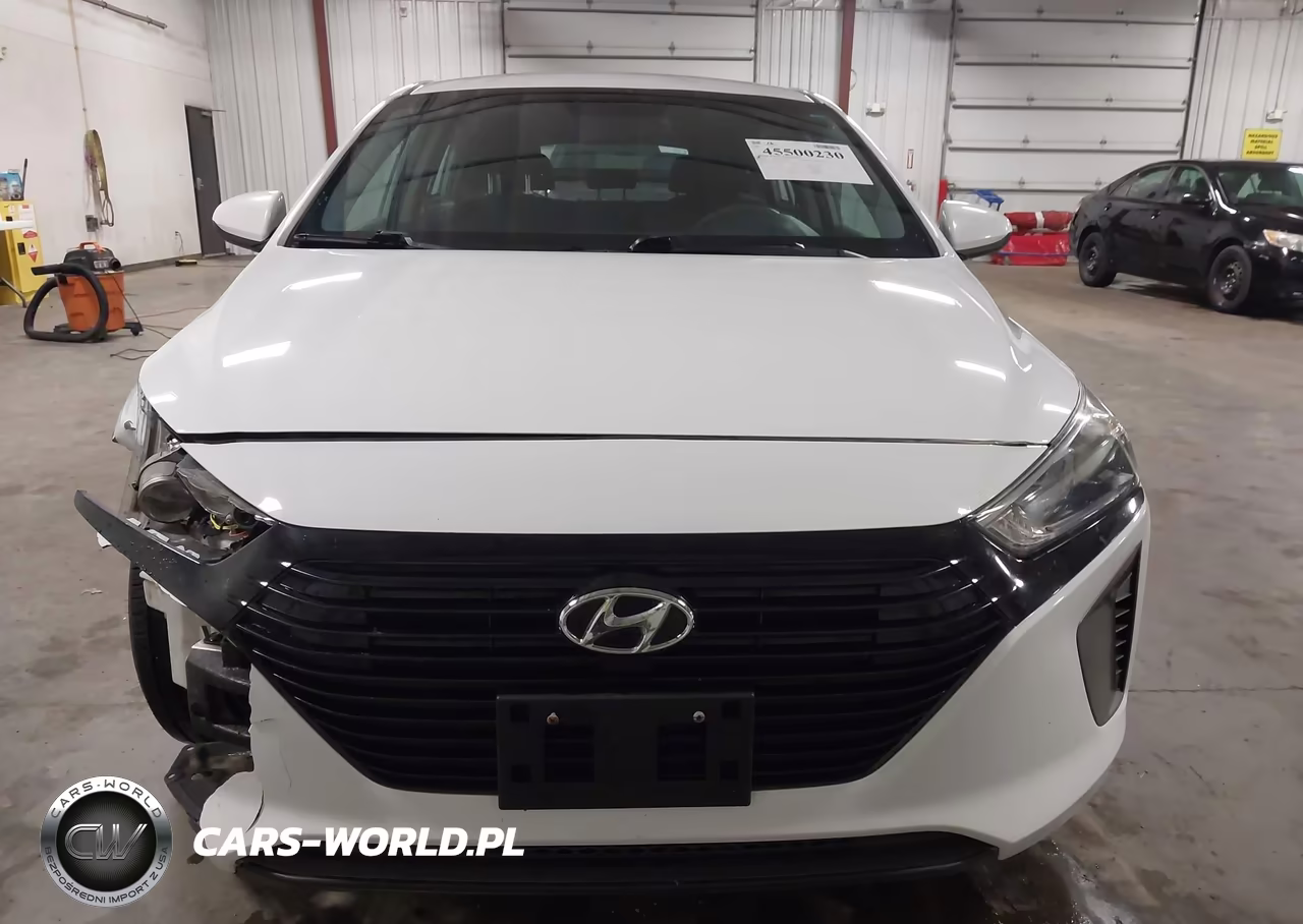 2019 Hyundai Ioniq Hybrid Blue VIN:KMHC65LC4KU168309 - 12