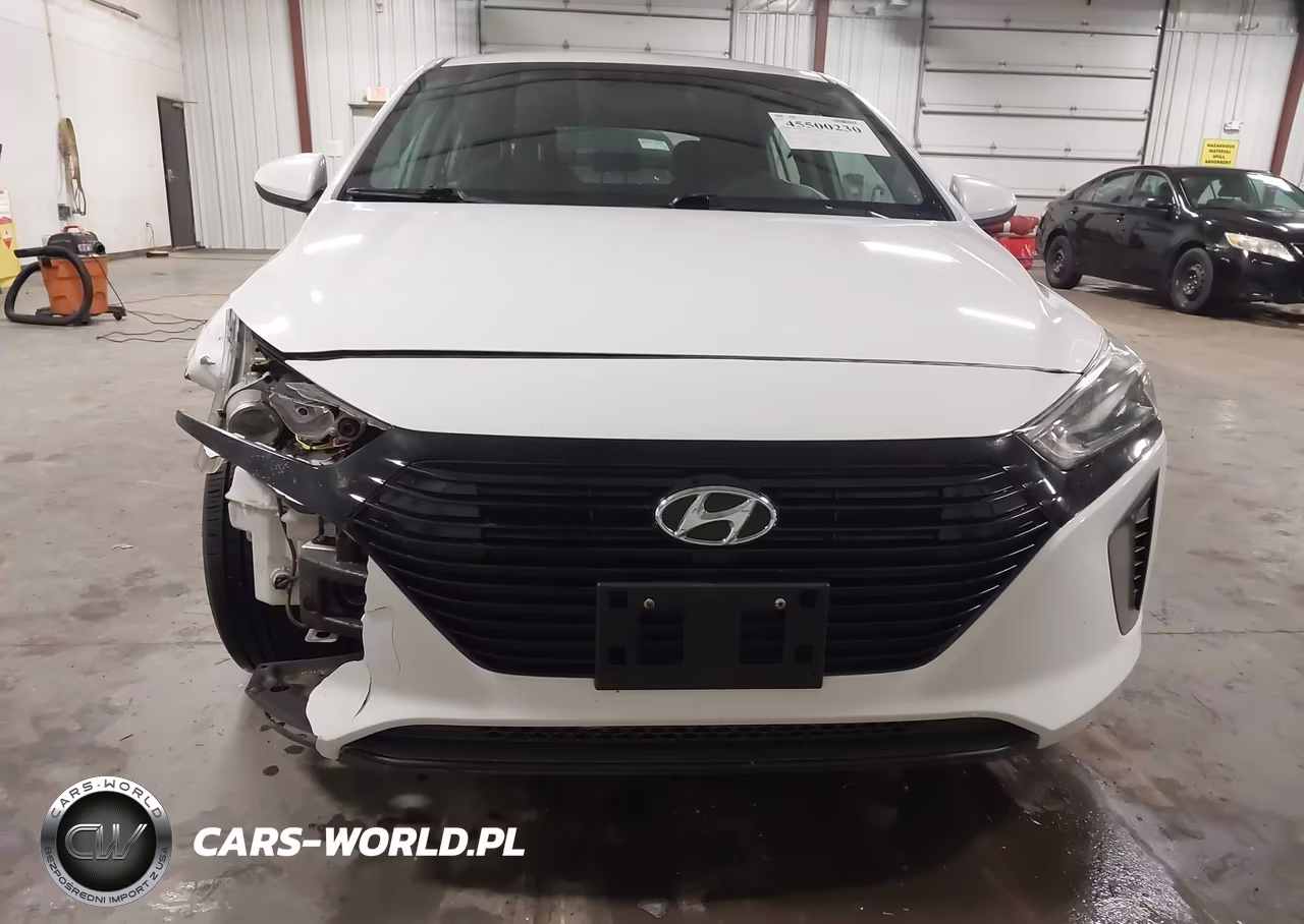 2019 Hyundai Ioniq Hybrid Blue VIN:KMHC65LC4KU168309 - 17