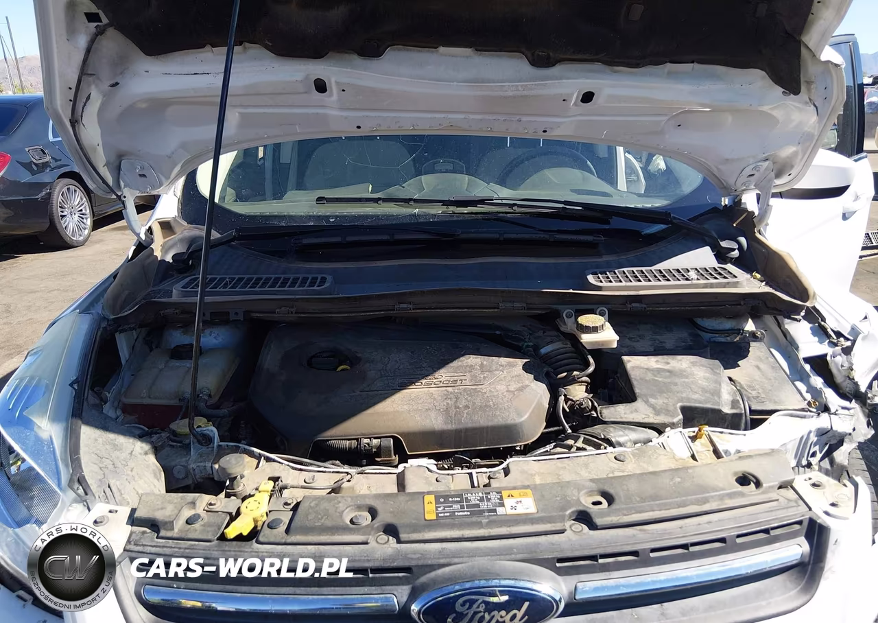 2014 Ford Escape Se VIN:1FMCU0GX6EUD44335 - 10