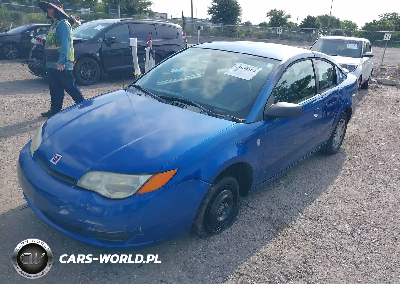 2004 Saturn Ion 2 VIN:1G8AN12F44Z206320 - 2
