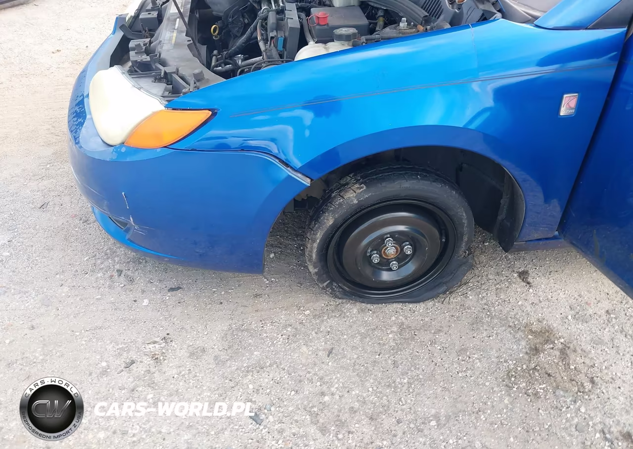 2004 Saturn Ion 2 VIN:1G8AN12F44Z206320 - 6