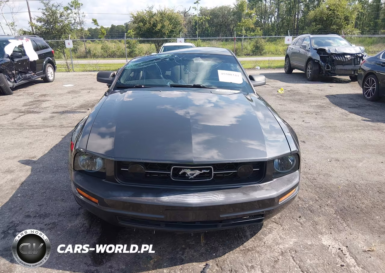 2009 Ford Mustang V6-V6 Premium VIN:1ZVHT80NX95119126 - 12