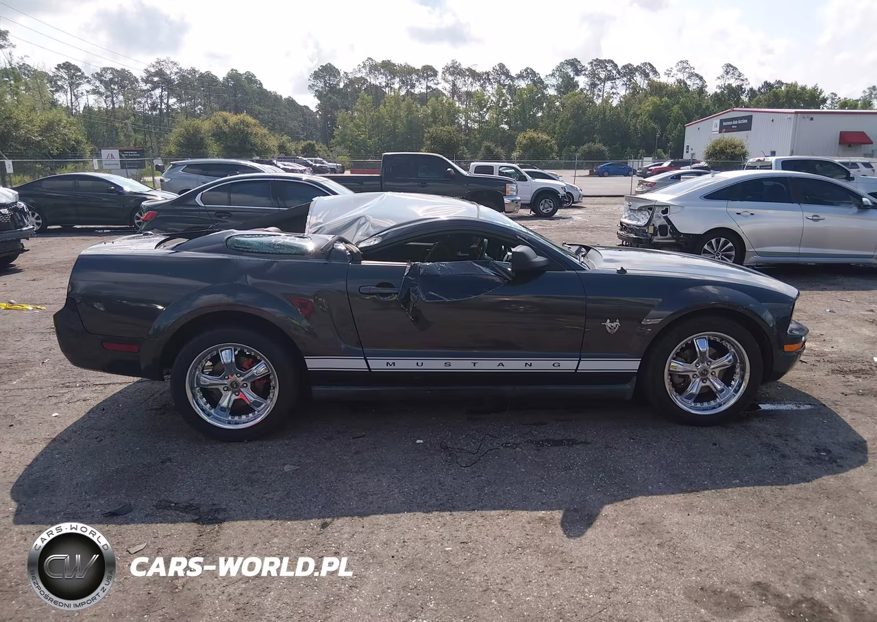 2009 Ford Mustang V6-V6 Premium VIN:1ZVHT80NX95119126 - 13