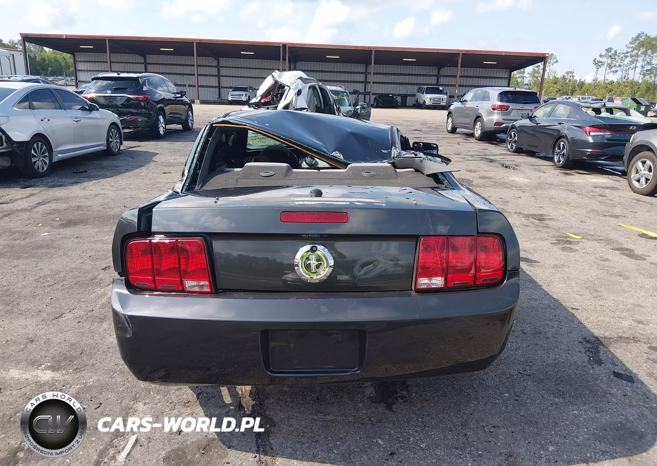 2009 Ford Mustang V6-V6 Premium VIN:1ZVHT80NX95119126 - 16