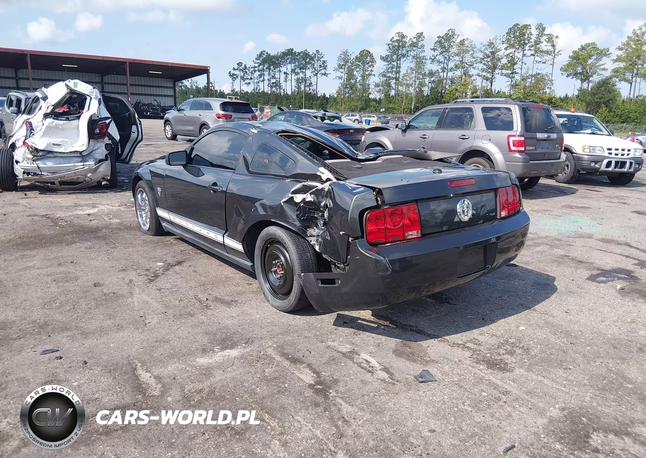 2009 Ford Mustang V6-V6 Premium VIN:1ZVHT80NX95119126 - 3