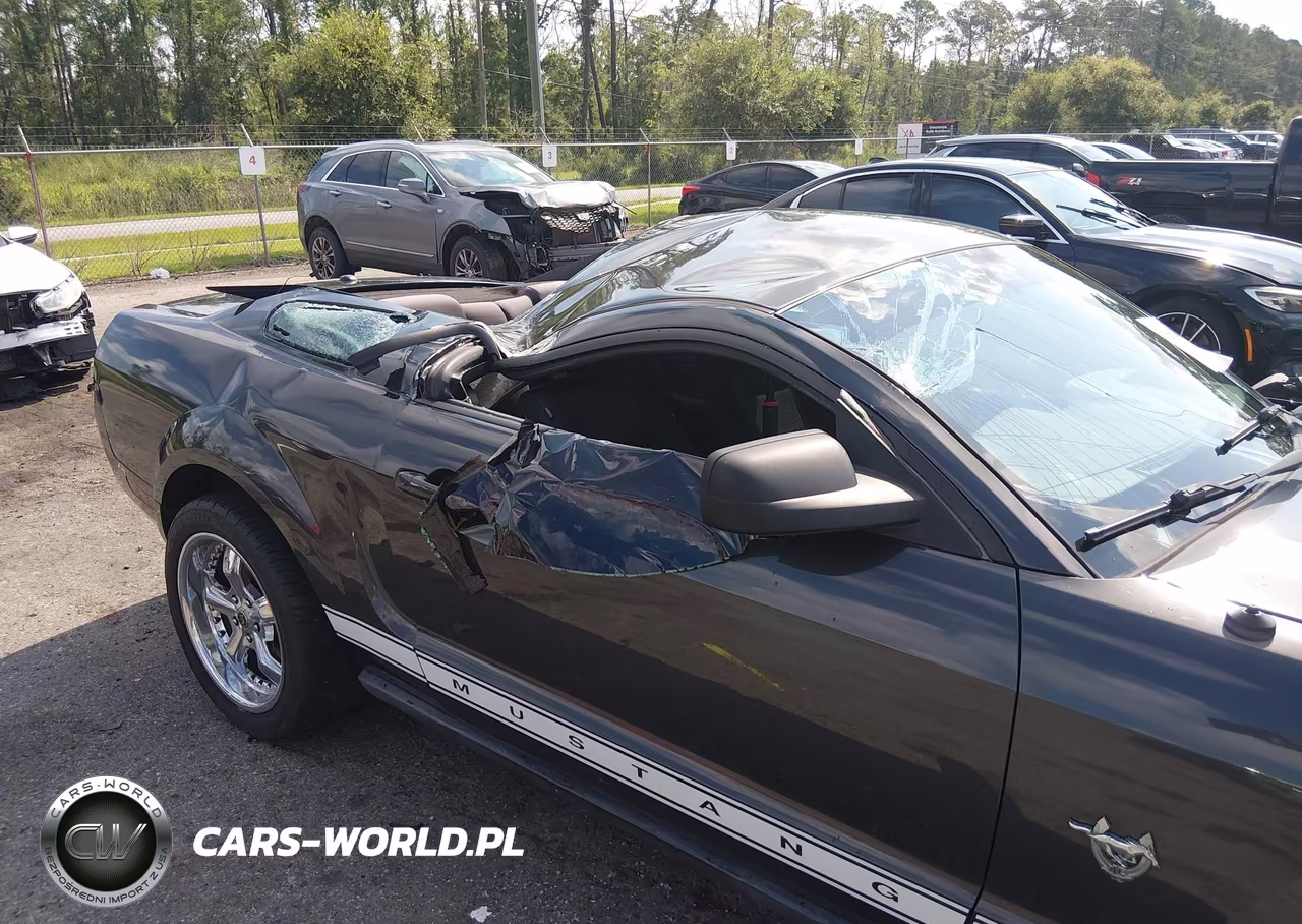 2009 Ford Mustang V6-V6 Premium VIN:1ZVHT80NX95119126 - 6