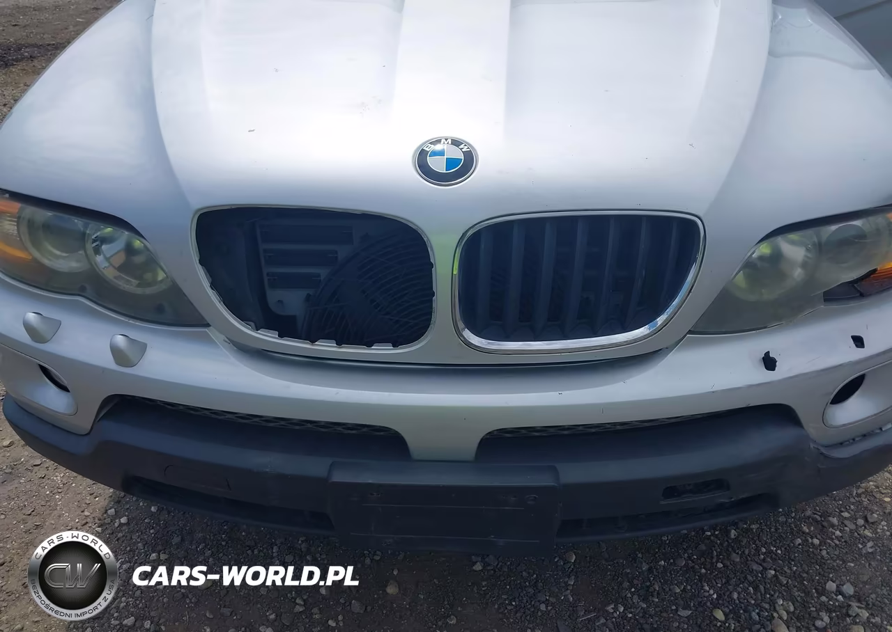 2004 BMW X5 3.0I VIN:5UXFA135X4LU20789 - 10