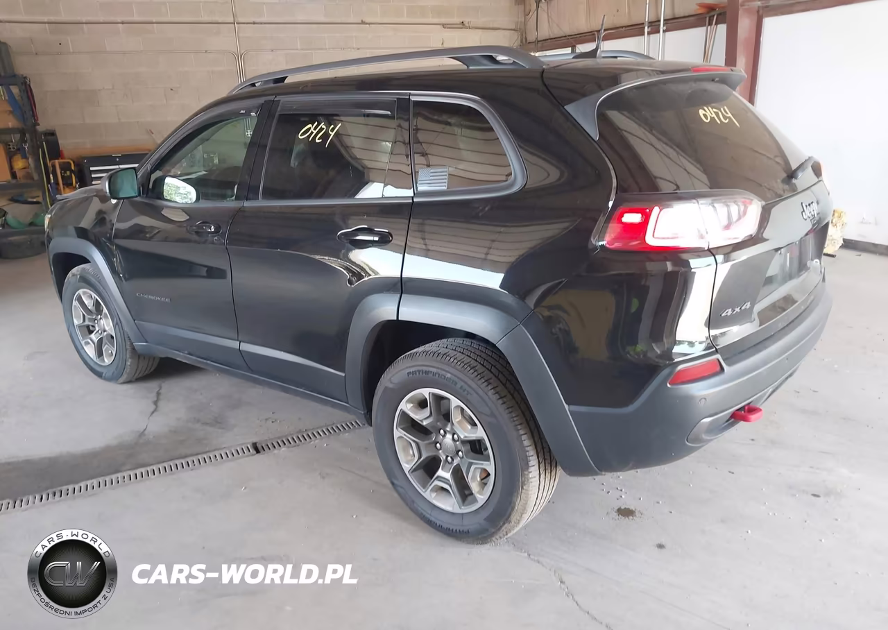 2019 Jeep Cherokee Trailhawk 4X4 VIN:1C4PJMBX0KD228766 - 3