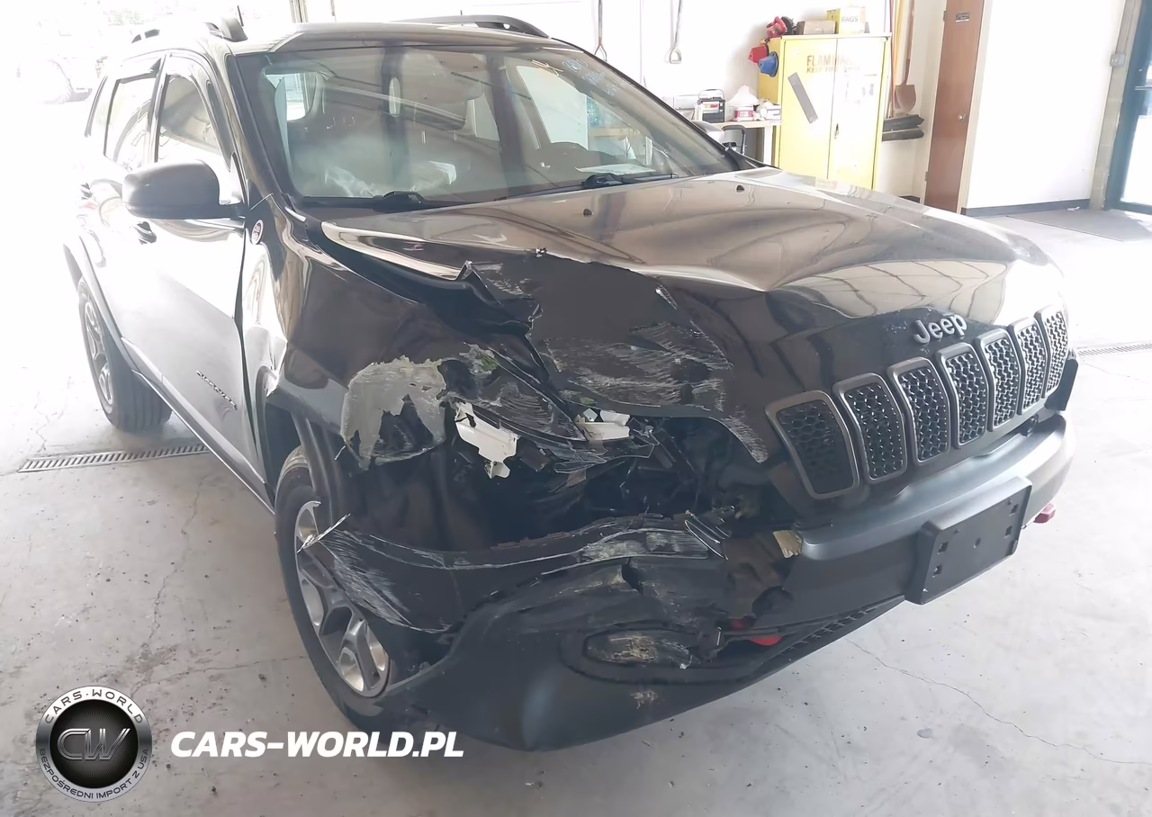 2019 Jeep Cherokee Trailhawk 4X4 VIN:1C4PJMBX0KD228766 - 6