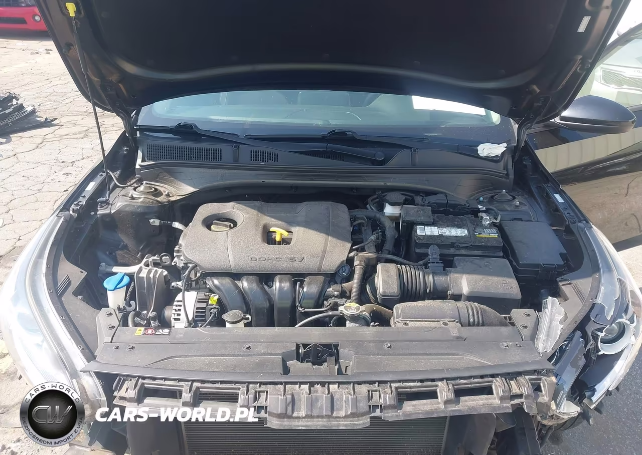2019 Kia Forte Fe VIN:3KPF24AD2KE124083 - 10