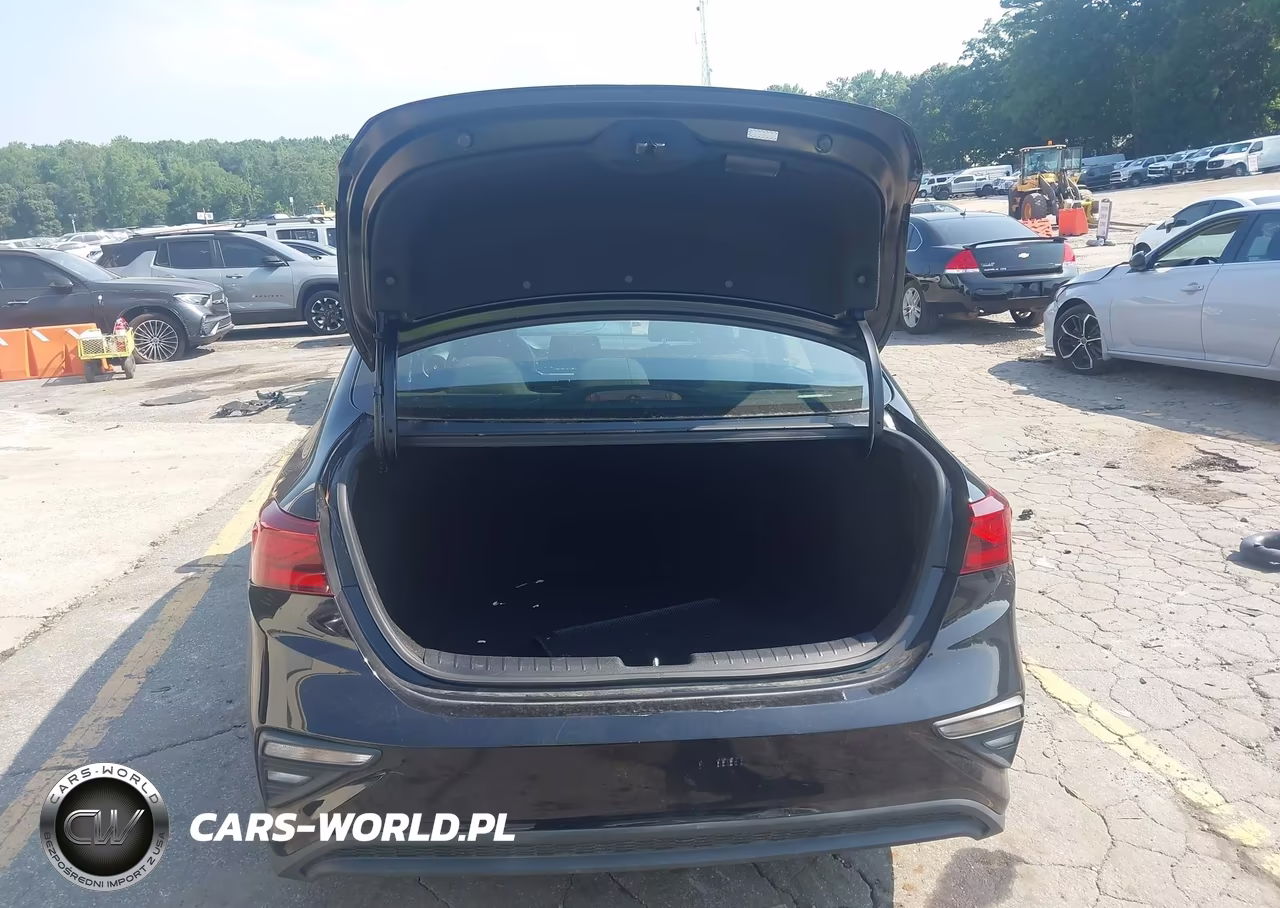 2019 Kia Forte Fe VIN:3KPF24AD2KE124083 - 17