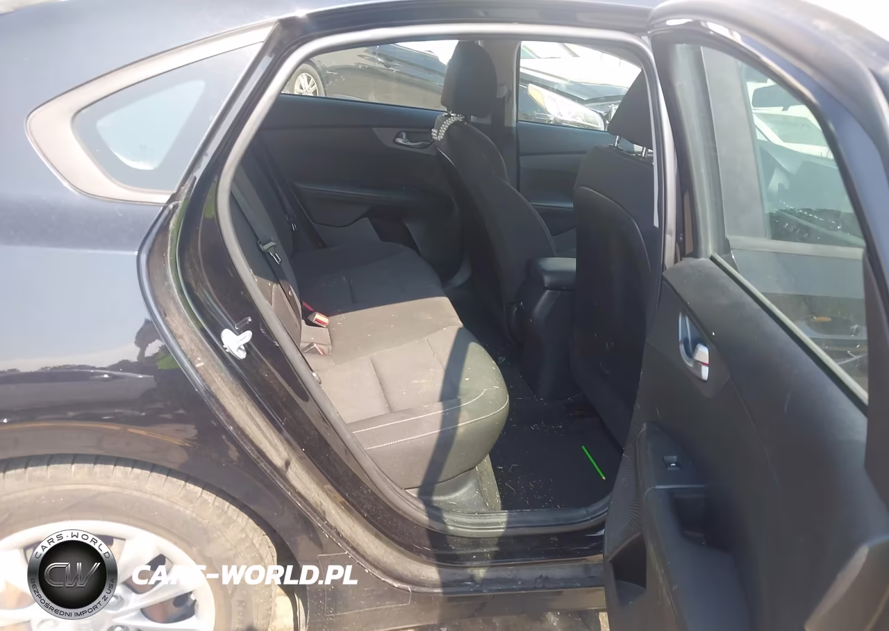 2019 Kia Forte Fe VIN:3KPF24AD2KE124083 - 8