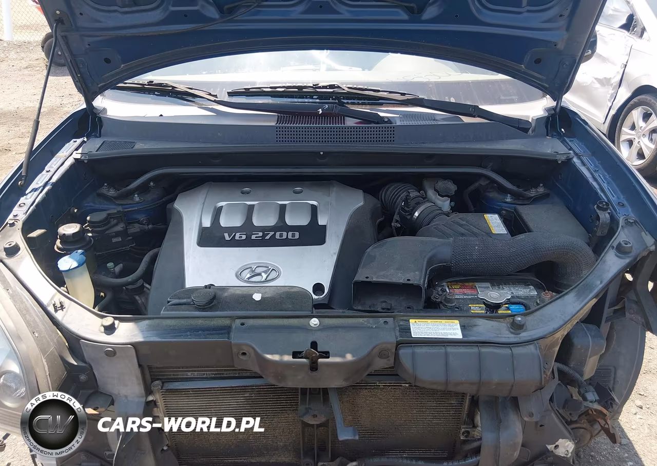 2006 Hyundai Tucson Gls-Limited VIN:KM8JN12D36U304920 - 10