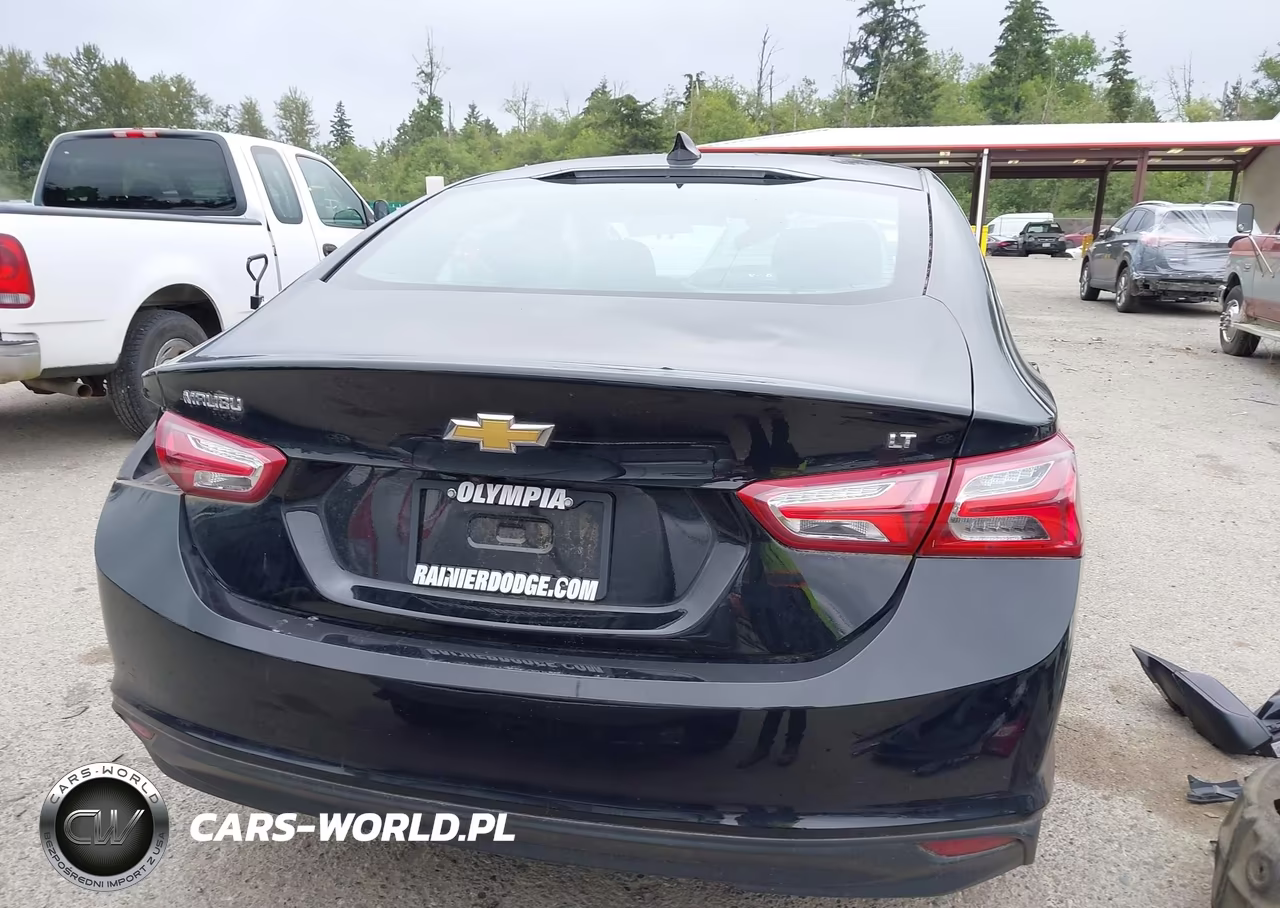 2022 Chevrolet Malibu Fwd Lt VIN:1G1ZD5ST6NF161210 - 17