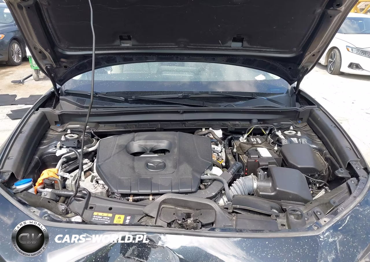 2023 Mazda Cx-30 2.5 S Preferred VIN:3MVDMBCM0PM561269 - 10