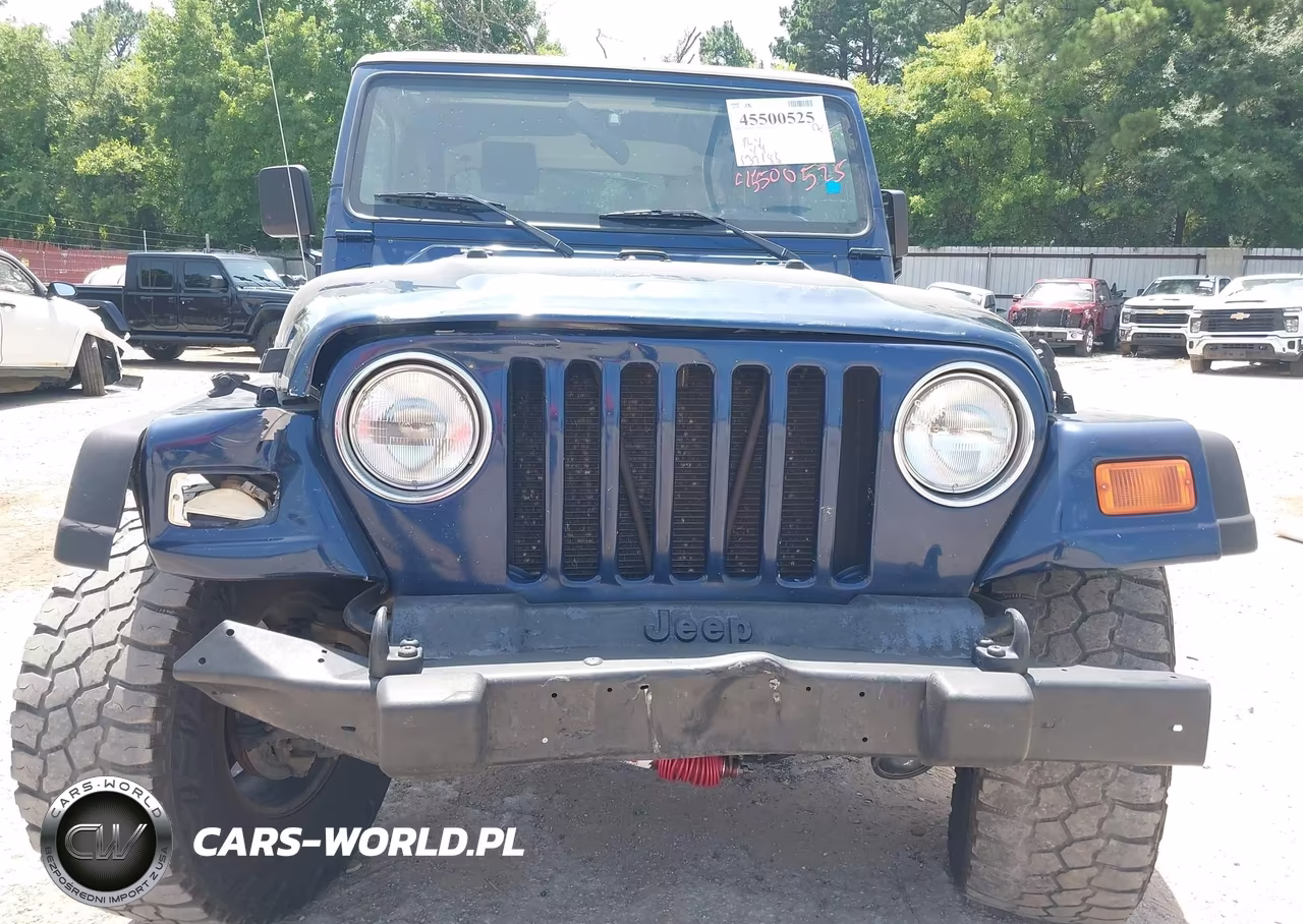 2002 Jeep Wrangler X VIN:1J4FA39S92P764446 - 12
