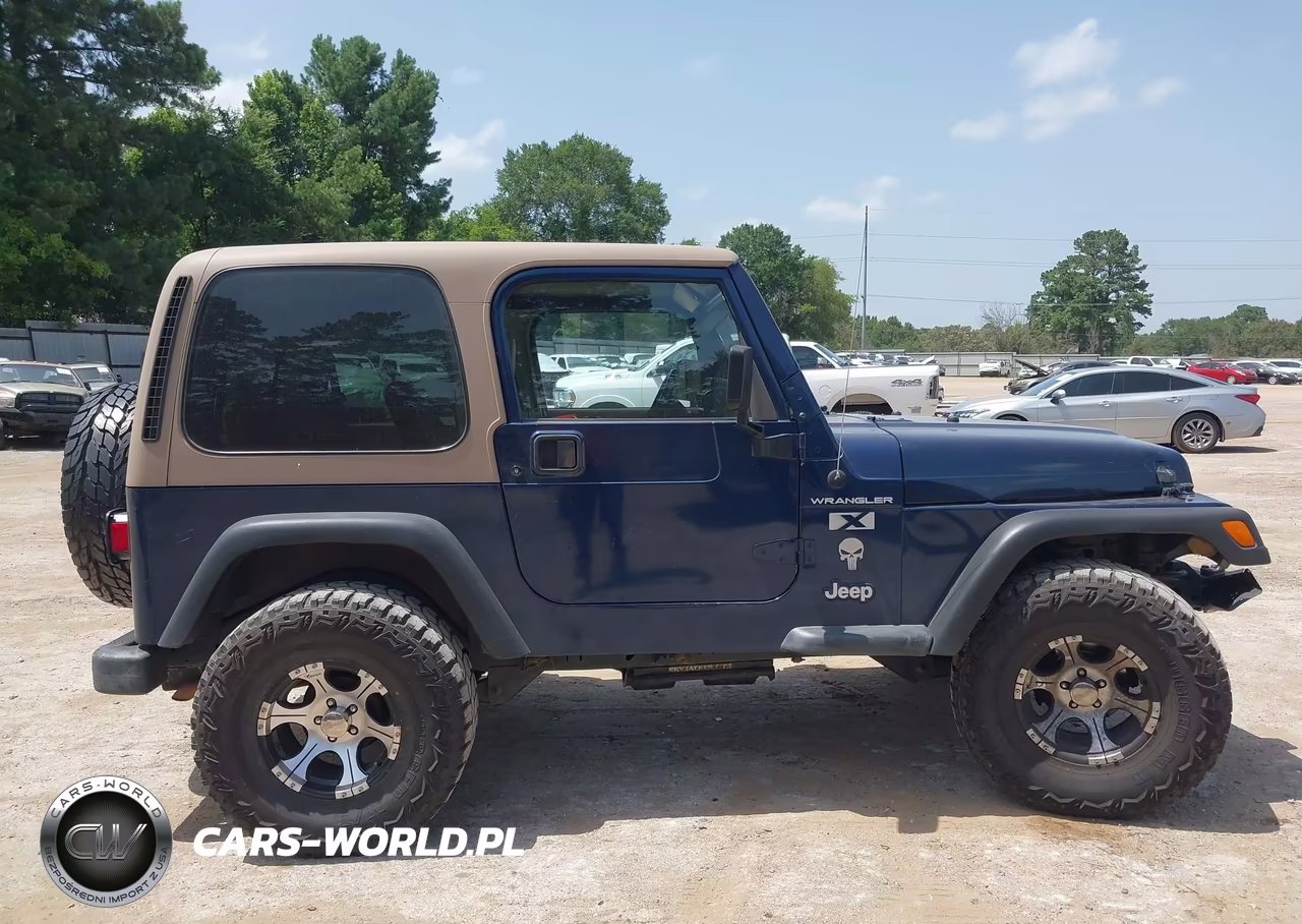 2002 Jeep Wrangler X VIN:1J4FA39S92P764446 - 13