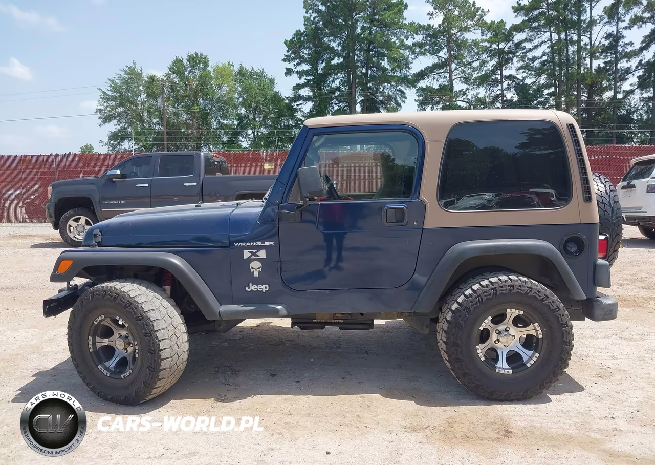 2002 Jeep Wrangler X VIN:1J4FA39S92P764446 - 14