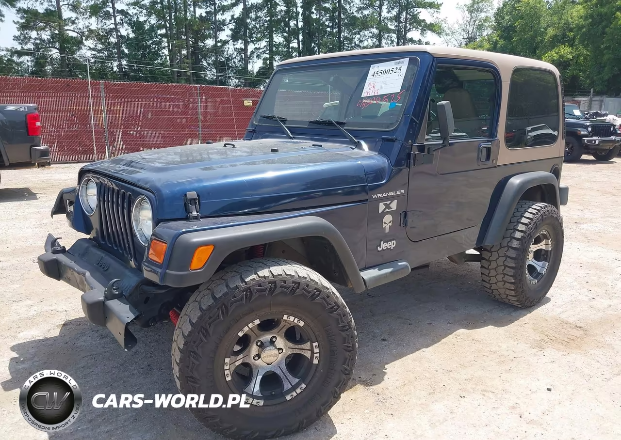 2002 Jeep Wrangler X VIN:1J4FA39S92P764446 - 2