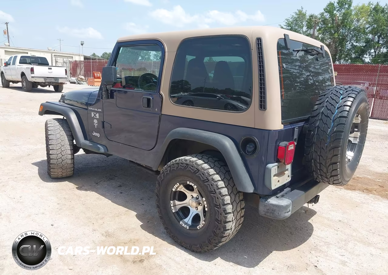 2002 Jeep Wrangler X VIN:1J4FA39S92P764446 - 3