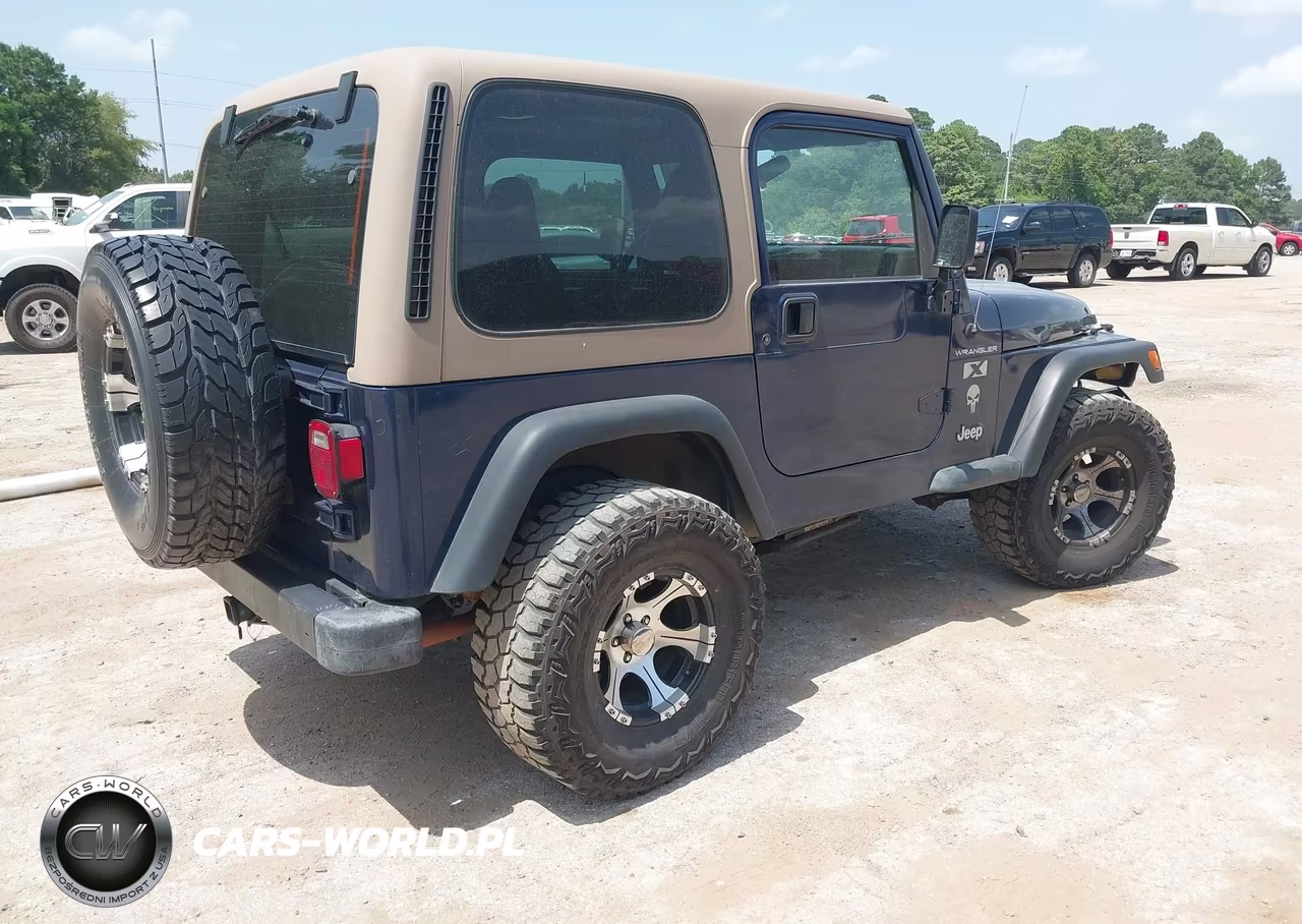 2002 Jeep Wrangler X VIN:1J4FA39S92P764446 - 4