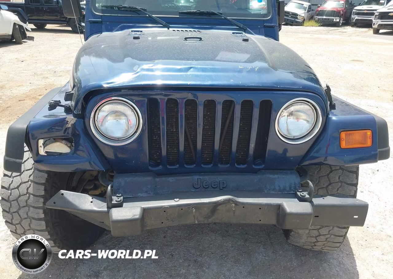 2002 Jeep Wrangler X VIN:1J4FA39S92P764446 - 6