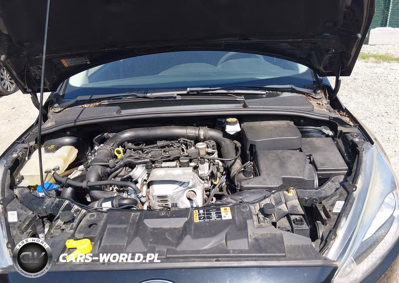 2018 Ford Focus Se VIN:1FADP3FE1JL319768 - 10