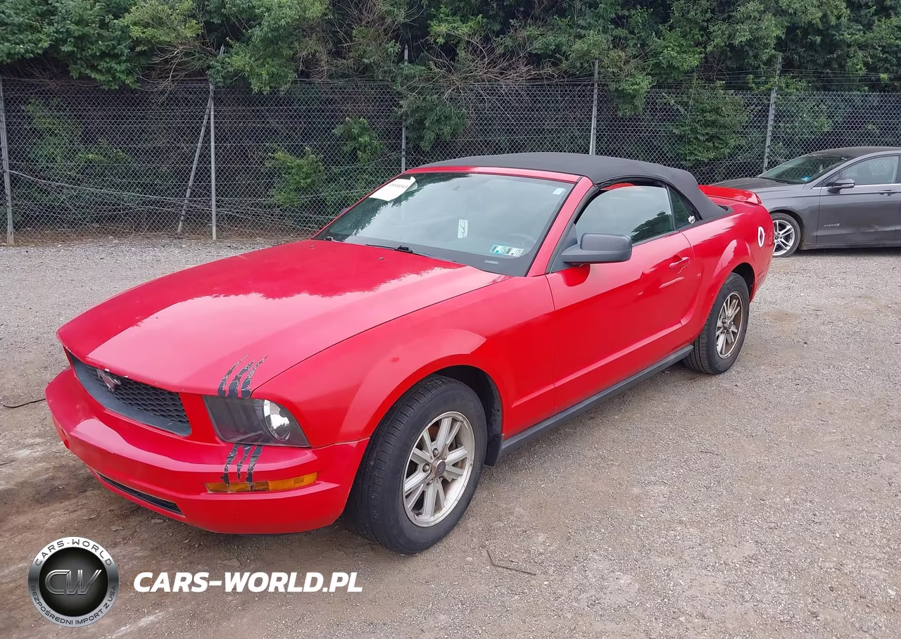 2006 Ford Mustang V6 VIN:1ZVHT84N165231318 - 2