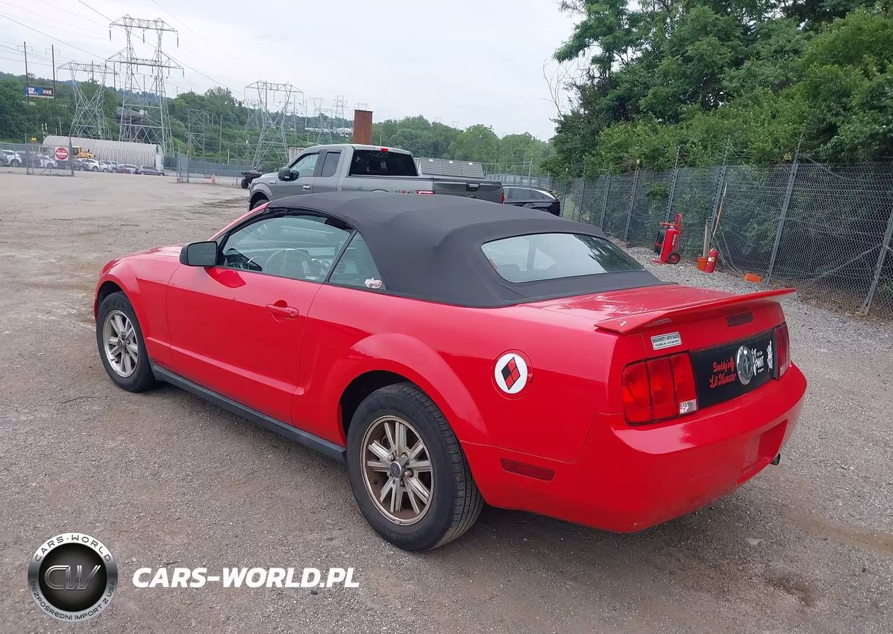 2006 Ford Mustang V6 VIN:1ZVHT84N165231318 - 3