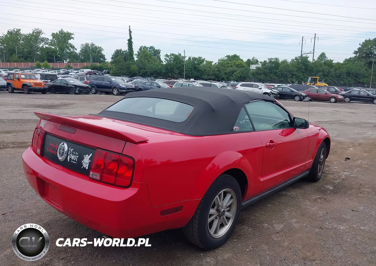 2006 Ford Mustang V6 VIN:1ZVHT84N165231318 - 4