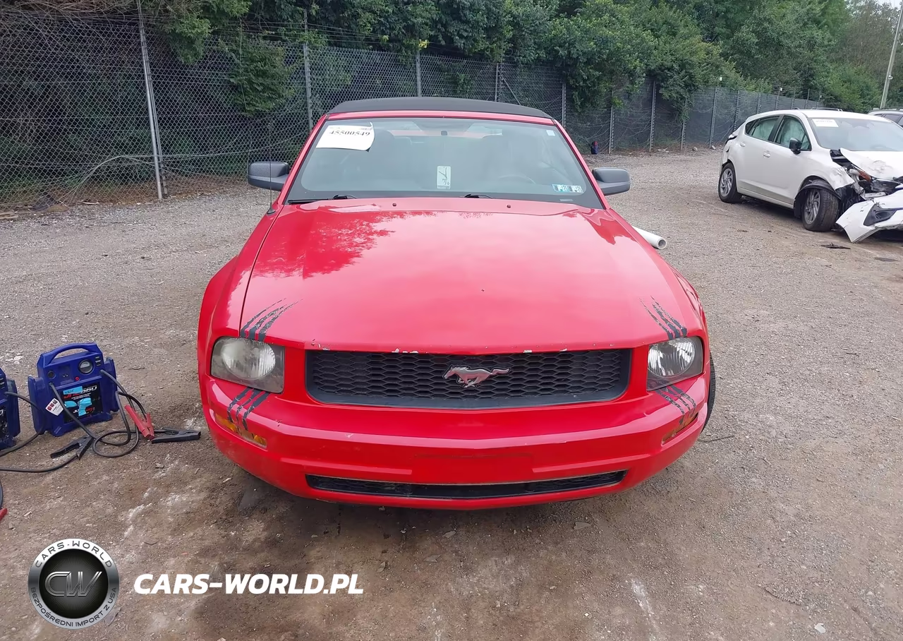 2006 Ford Mustang V6 VIN:1ZVHT84N165231318 - 6