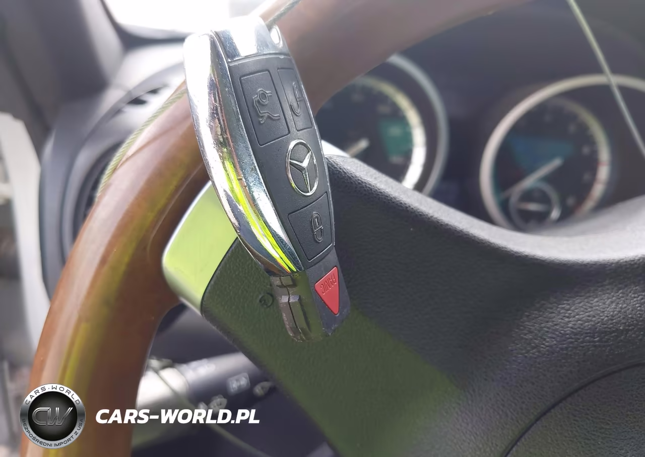 2010 Mercedes-Benz Slk 300 VIN:WDBWK5EA0AF232016 - 11